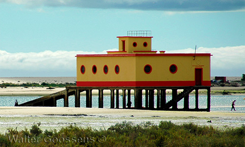 olhao bibliotheek